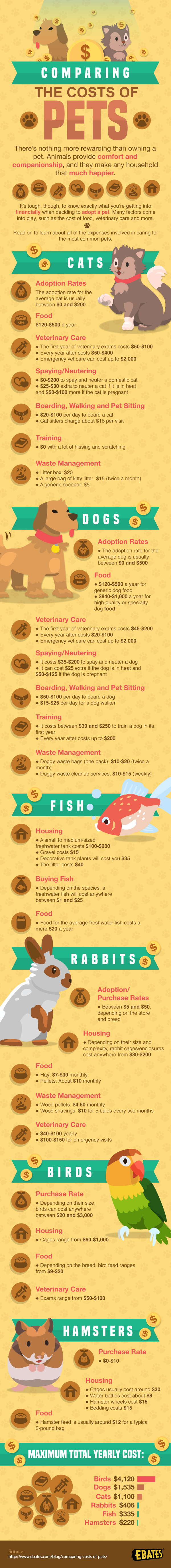 Comparing the Cost of Pets